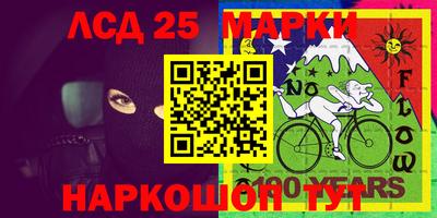 гашик Новодвинск