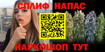 хмурый Новокубанск