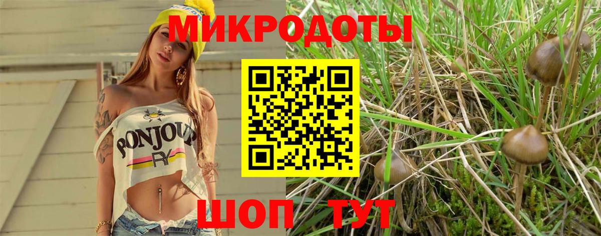 Тольятти  Галлюциногенные грибы Psilocybe  Вход с VPN 