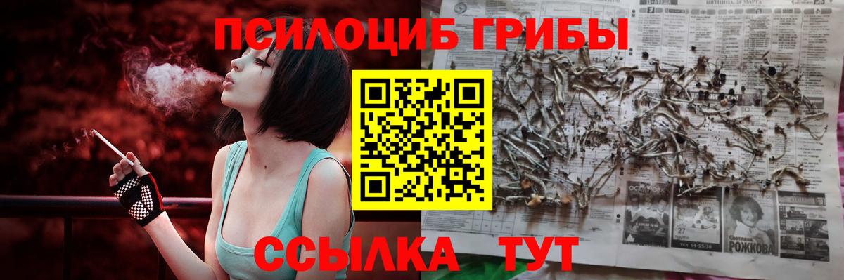 Псилоцибиновые грибы Psilocybe Тольятти